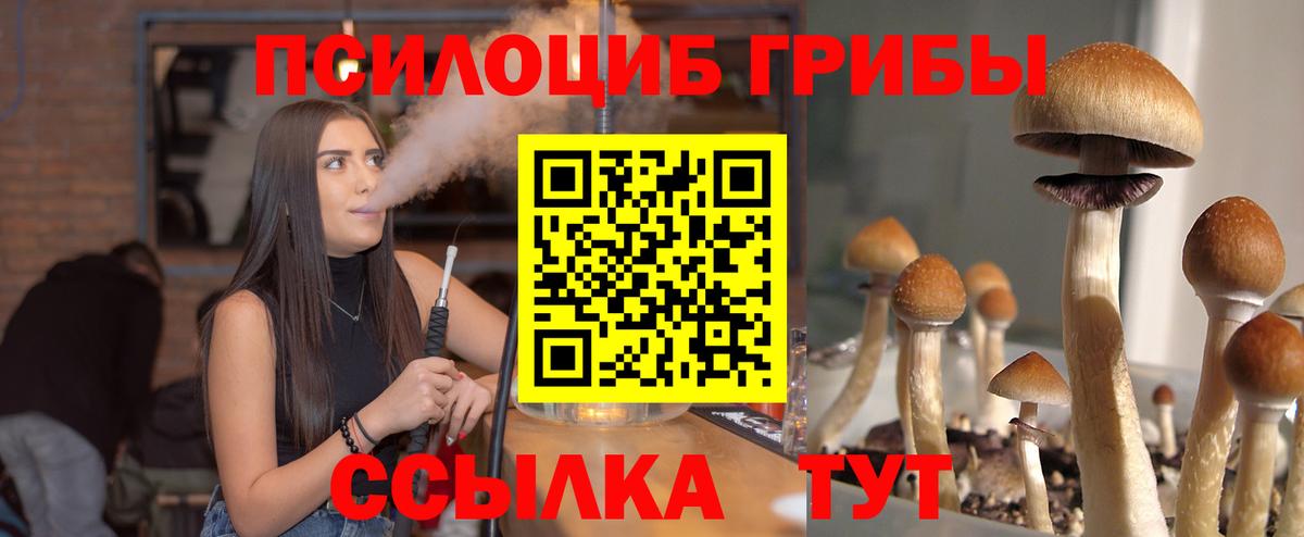 Верхняя Пышма  Галлюциногенные грибы прущие грибы  Галлюциногенные грибы GOLDEN TEACHER  наркота  Вход с VPN 
